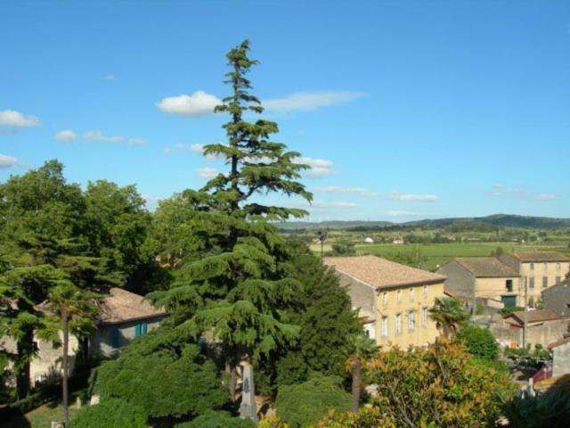 Chambres D'Hotes Le Clos De Venes Saint-Couat-d'Aude Экстерьер фото